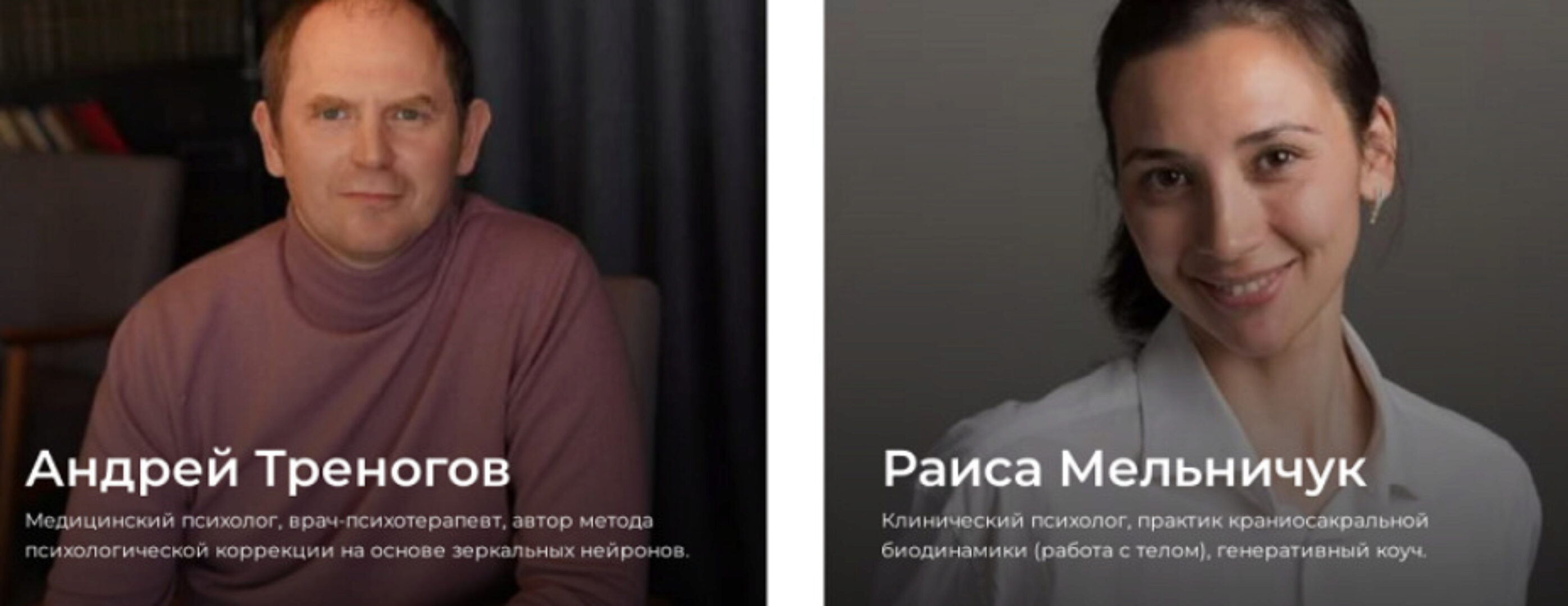 Инструменты чистого языка в зеркальной психологии (Андрей Треногов, Раиса Мельничук)