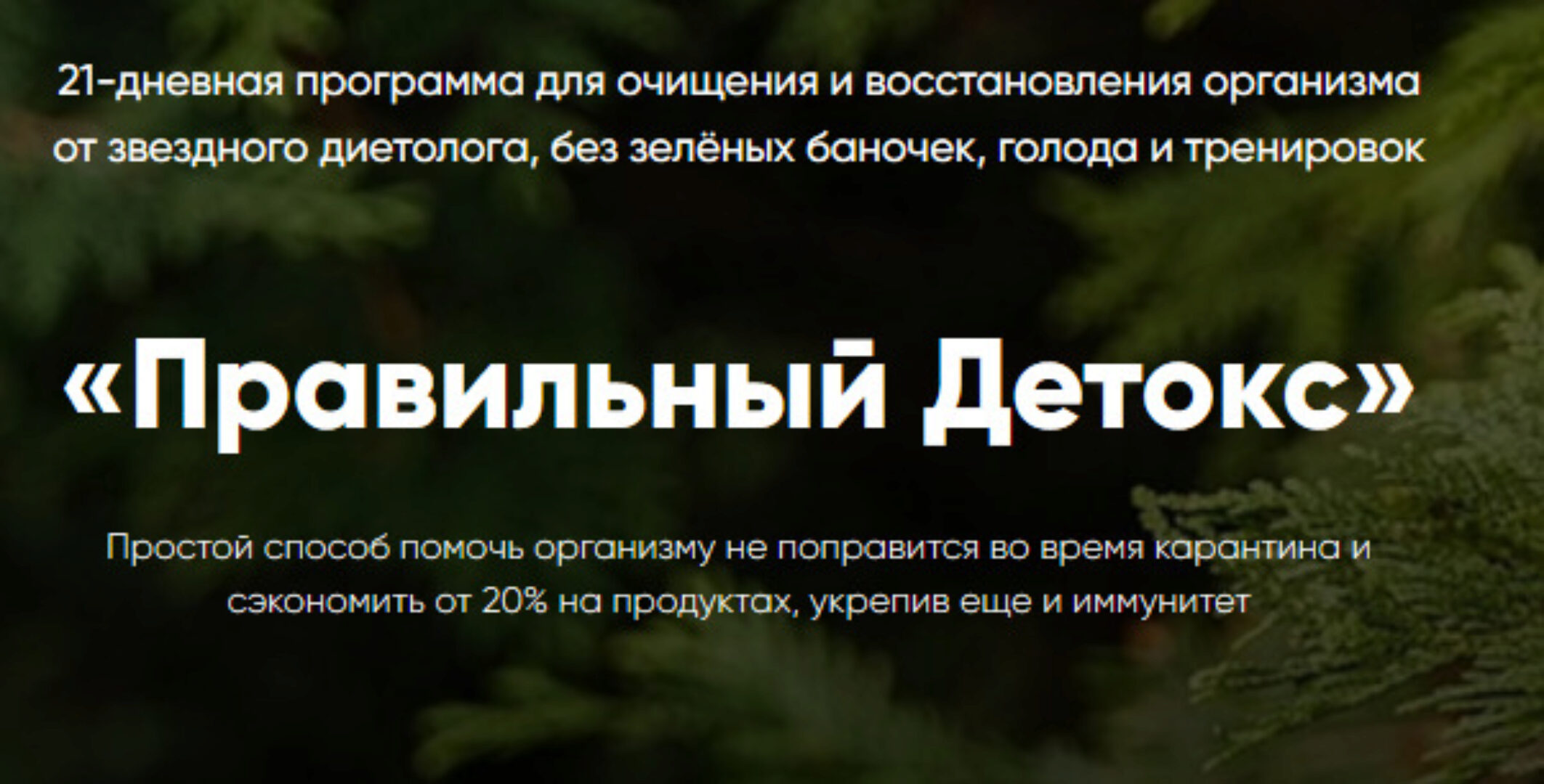 Правильный Детокс. Тариф Детокс Стандарт (Ольга Деккер)