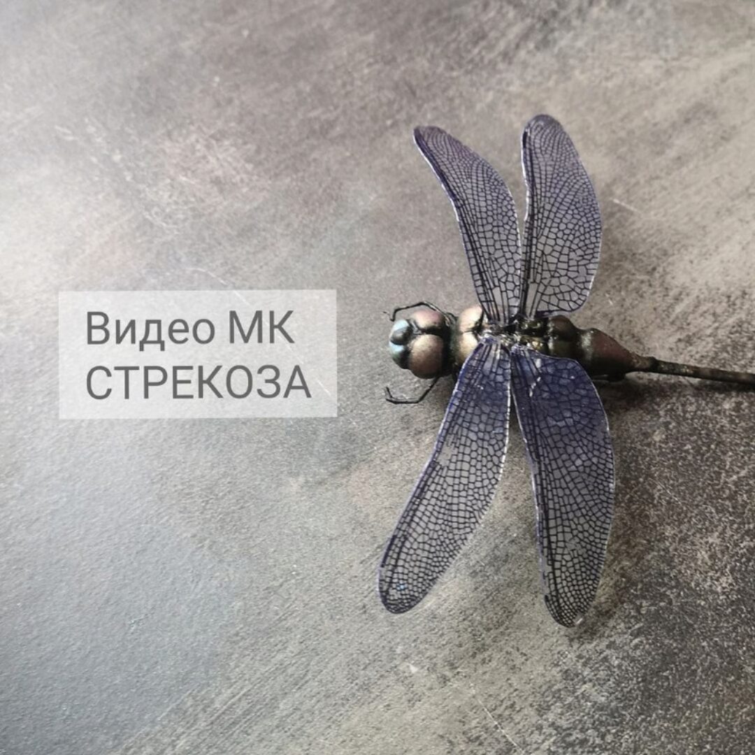 Стрекоза (Анна Рудая)