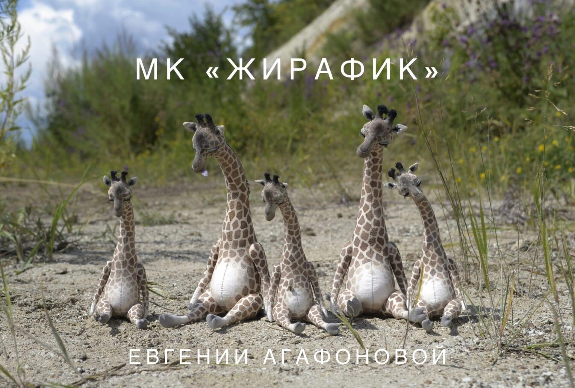 Жирафик (Евгения Агафонова)