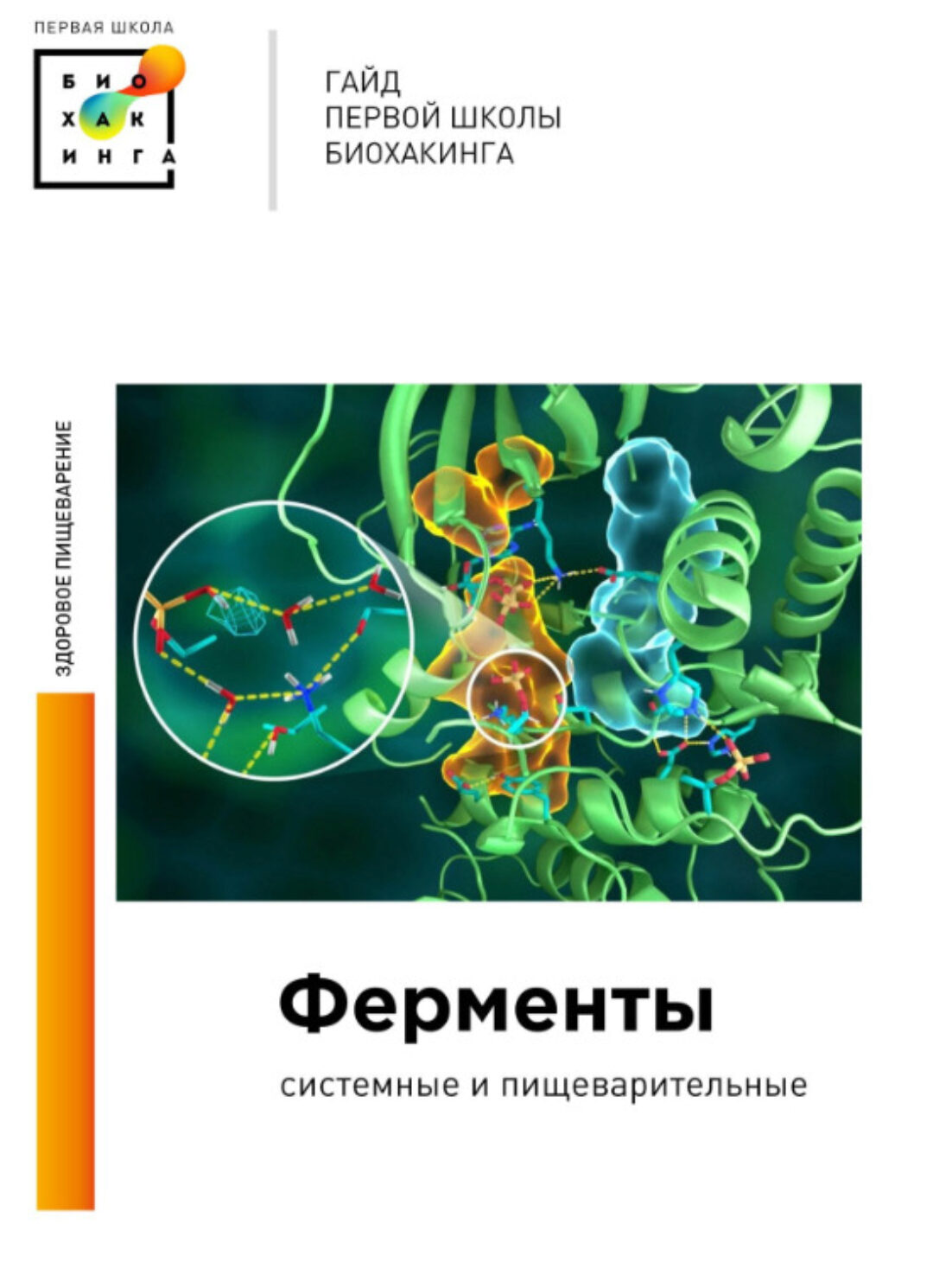 [Первая школа биохакинга] Ферменты. Методическое пособие (Ирина Баранова)