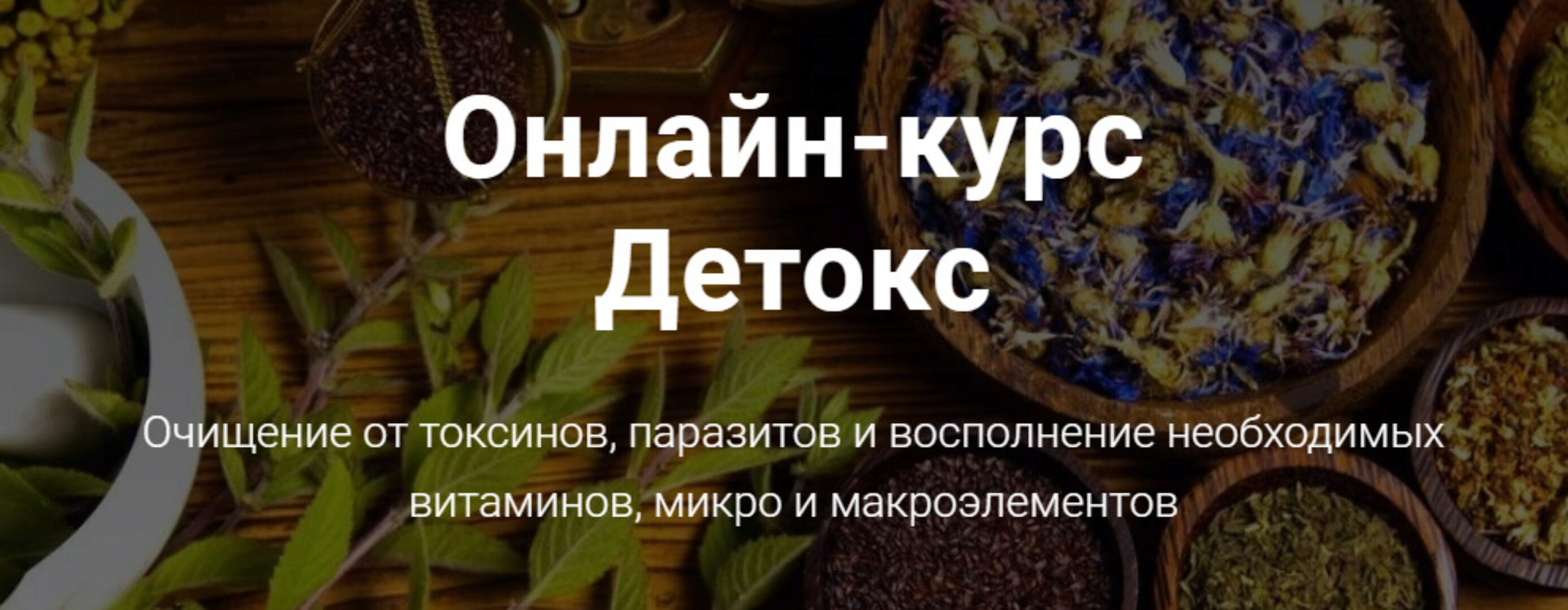 Online курс  Детокс (Тимофей Кармацкий)