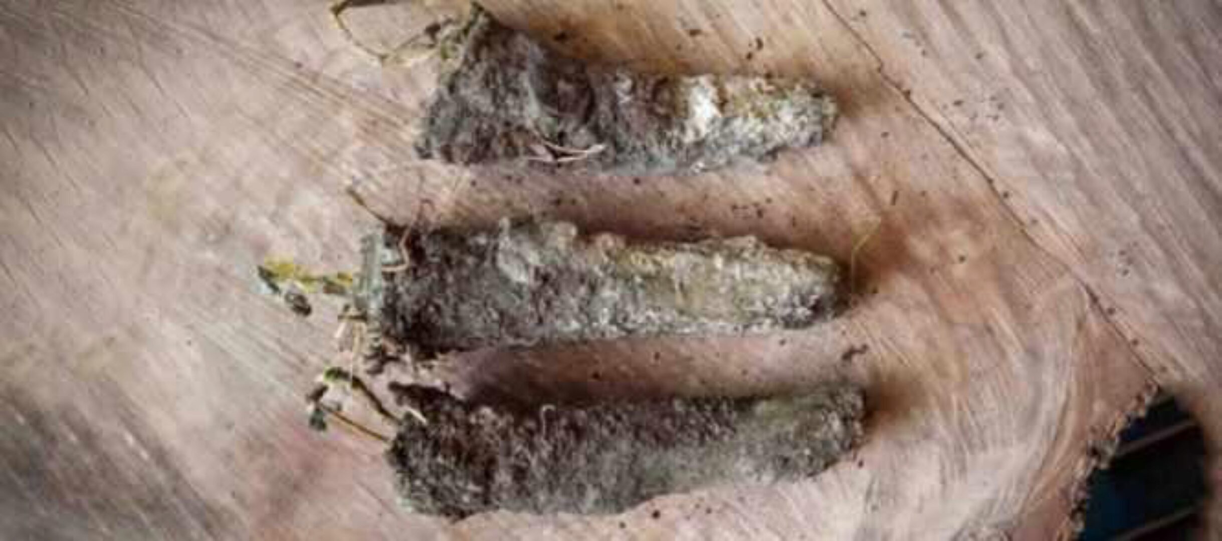 Земляные свечи (Ольга Плюсова)