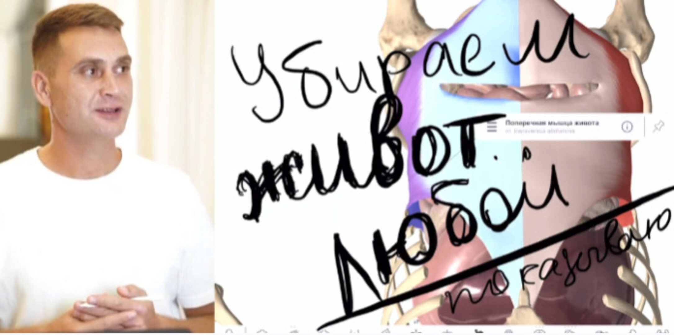 Устранение живота (Сергей Оларь)