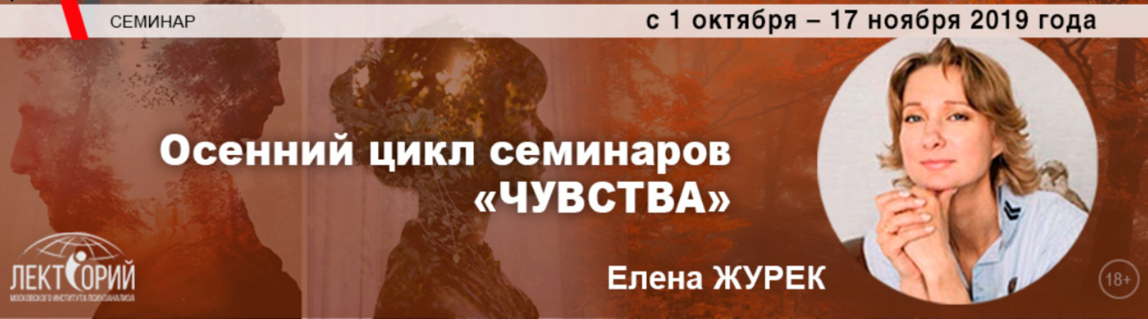 Депрессия. Стадии, симптомы, техники работы (Елена Журек)