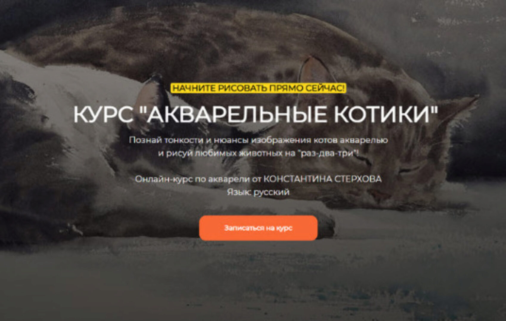 [Артефакто] Акварельные котики. Тариф Стандарт (Константин Стерхов)