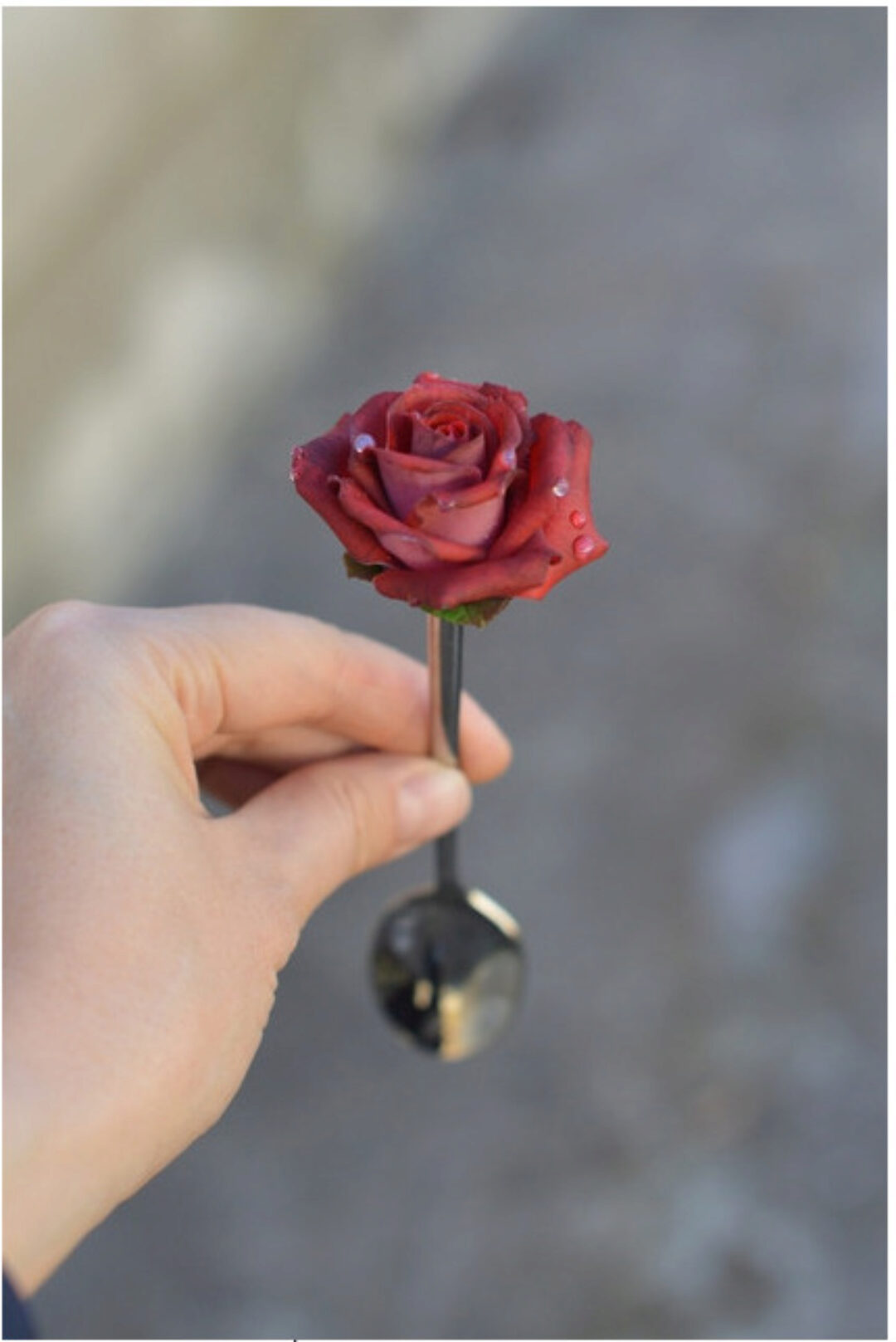 Прямой эфир «Роза на чайной ложке» (Елена Арцыбасова)