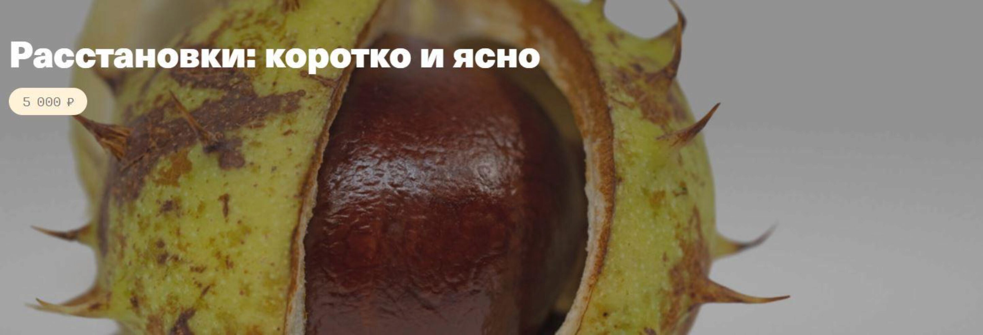 [Timepad] Расстановки: коротко и ясно (Елена Веселаго)