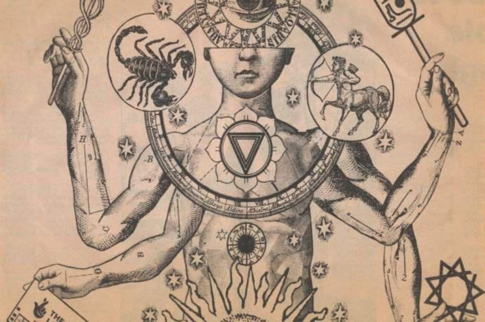 Нейрогимнастика мага. Уровень 1 (Марьяна Романова)