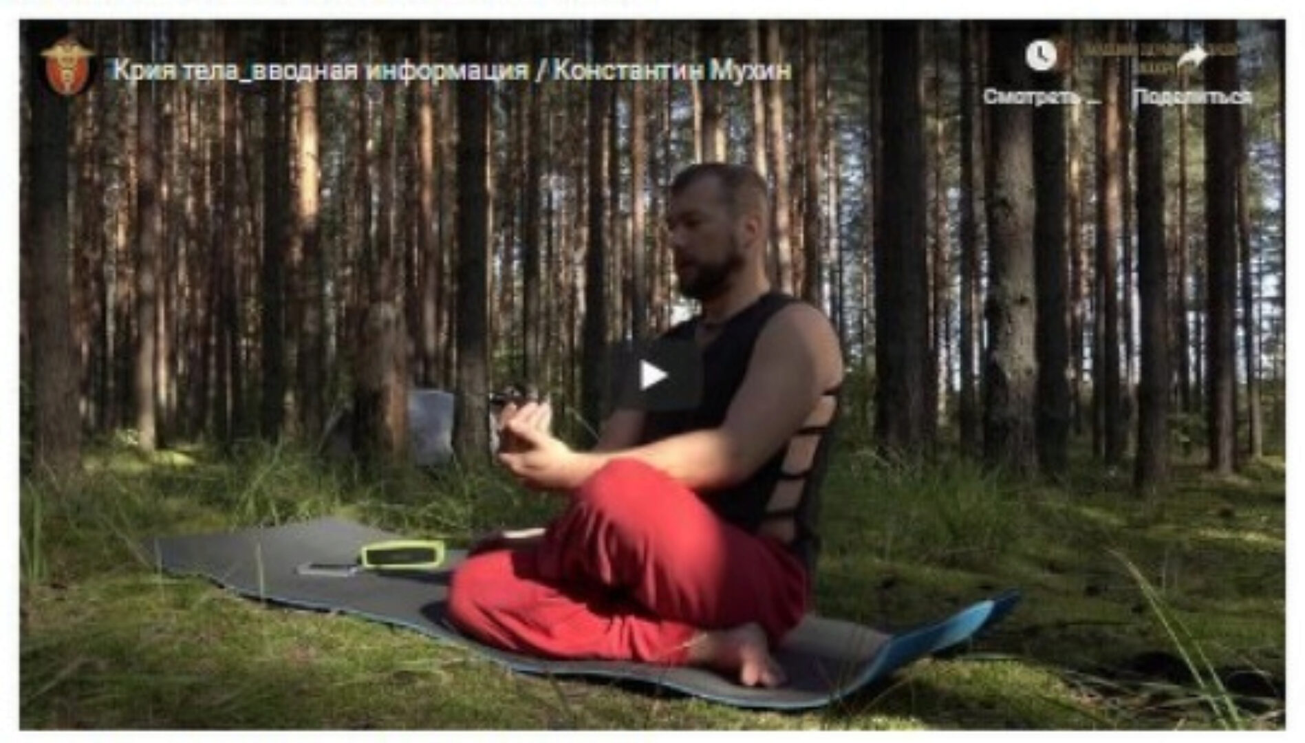 Крия Тела Динамическая Йога (Константин Мухин)