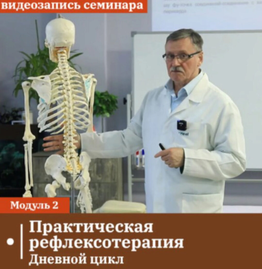 [Сандал] Практическая рефлексотерапия. Модуль 2. Дневной цикл (Владимир Кононов)