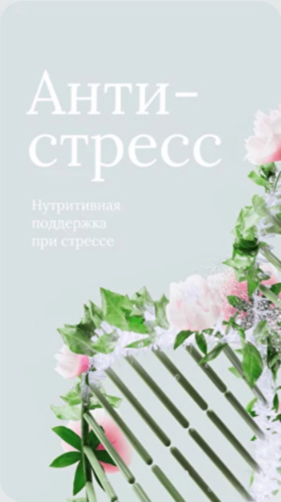 [dr_mashkina] Антистресс 2024 (Ксения Машкина)