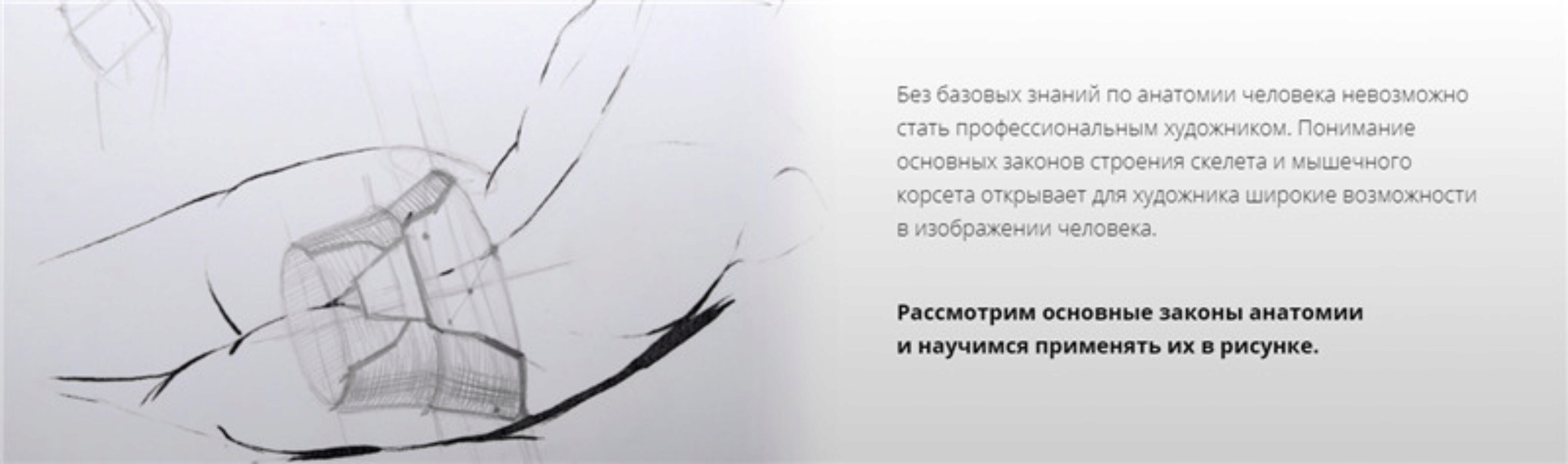 [kalachevaschool] Рисуем человека. Анатомия. Сентябрь 2019 (Дарья Остапенко)