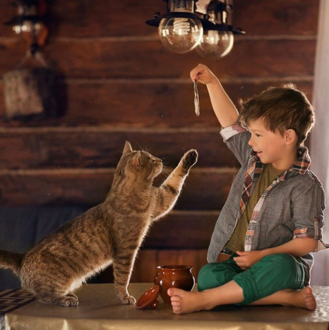 Урок "Домашняя фотосессия: основные принципы съемки и обработки домашних кадров (Анна Ипатьева)