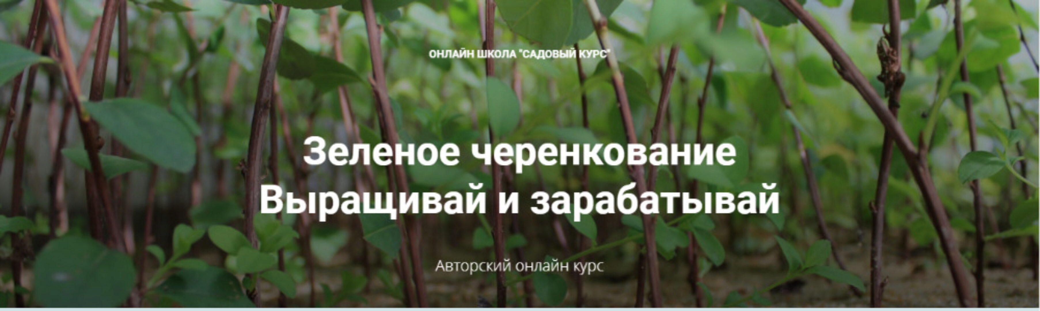 [Садовый Курс] Зеленое черенкование (Ольга, Николай Владимирович)