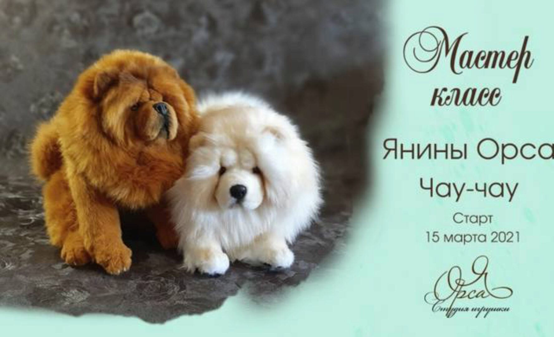 Чау-чау (Янина Орса)