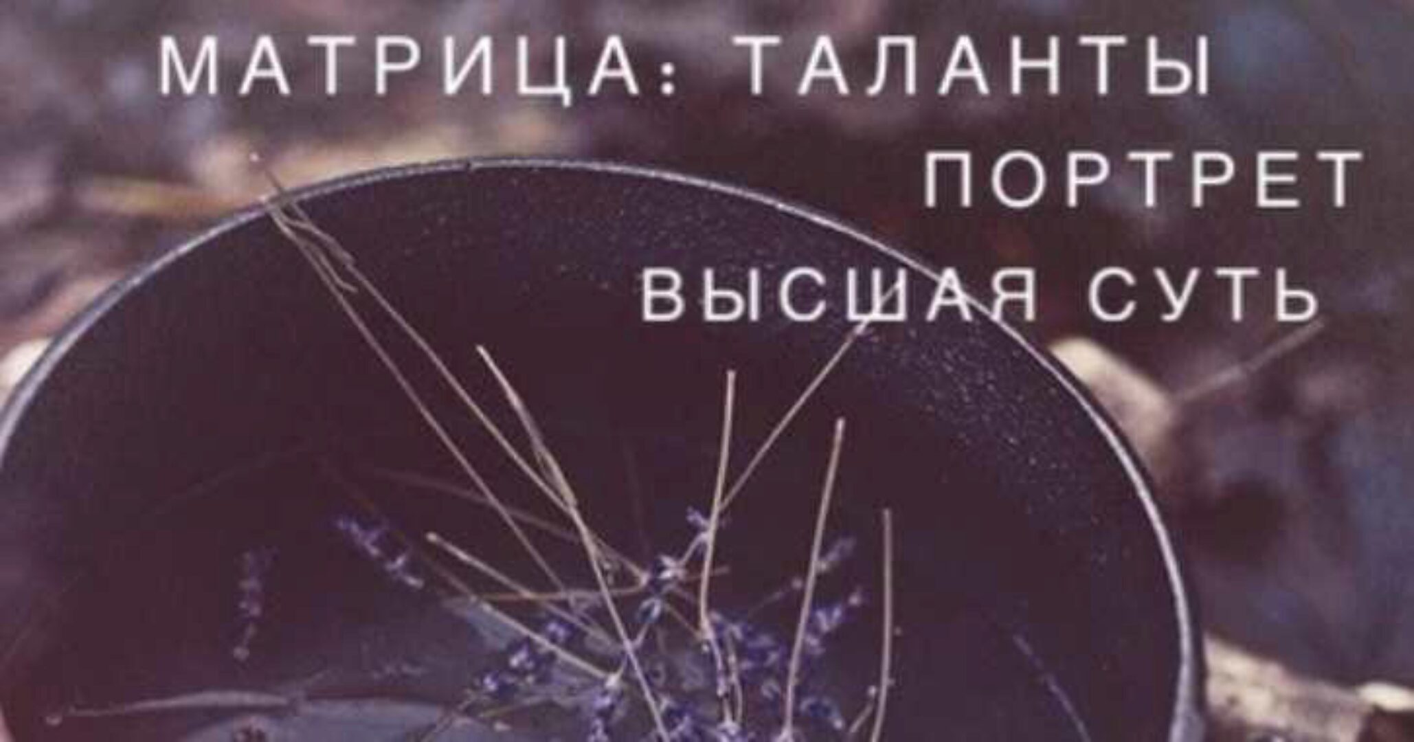 Матрица Судьбы - талант, портрет, Высшая суть (Ксения Ликич)