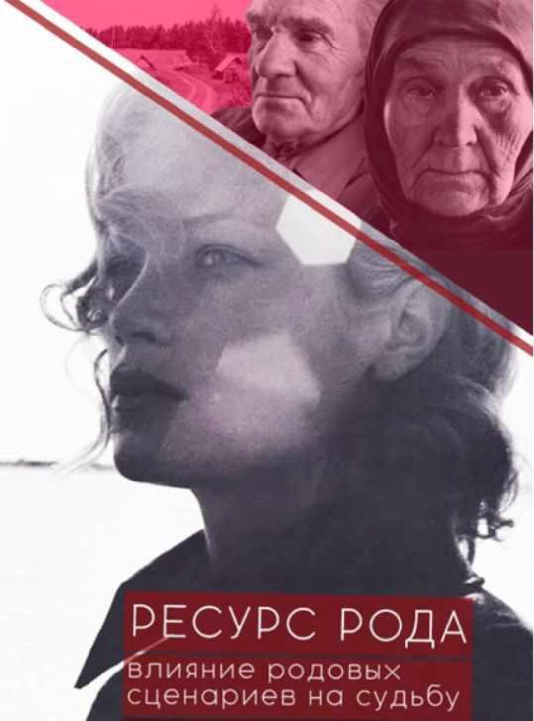 Ресурс рода. Влияние родовых сценариев на судьбу (Вера Бутова)