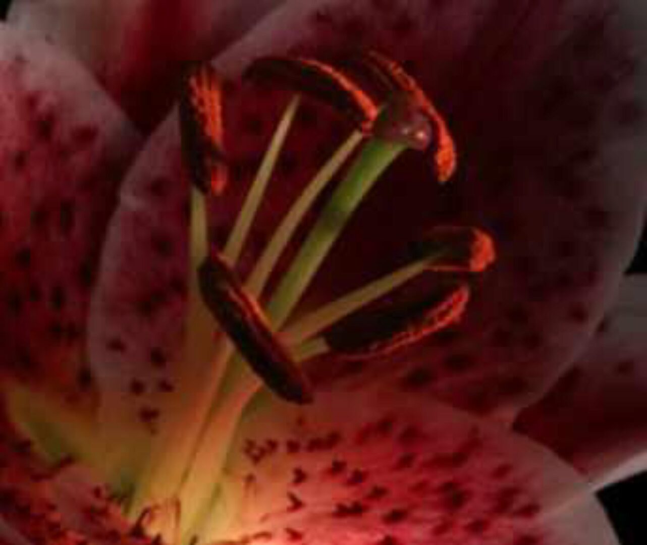 Секреты Самореализации (Святослав Райков)