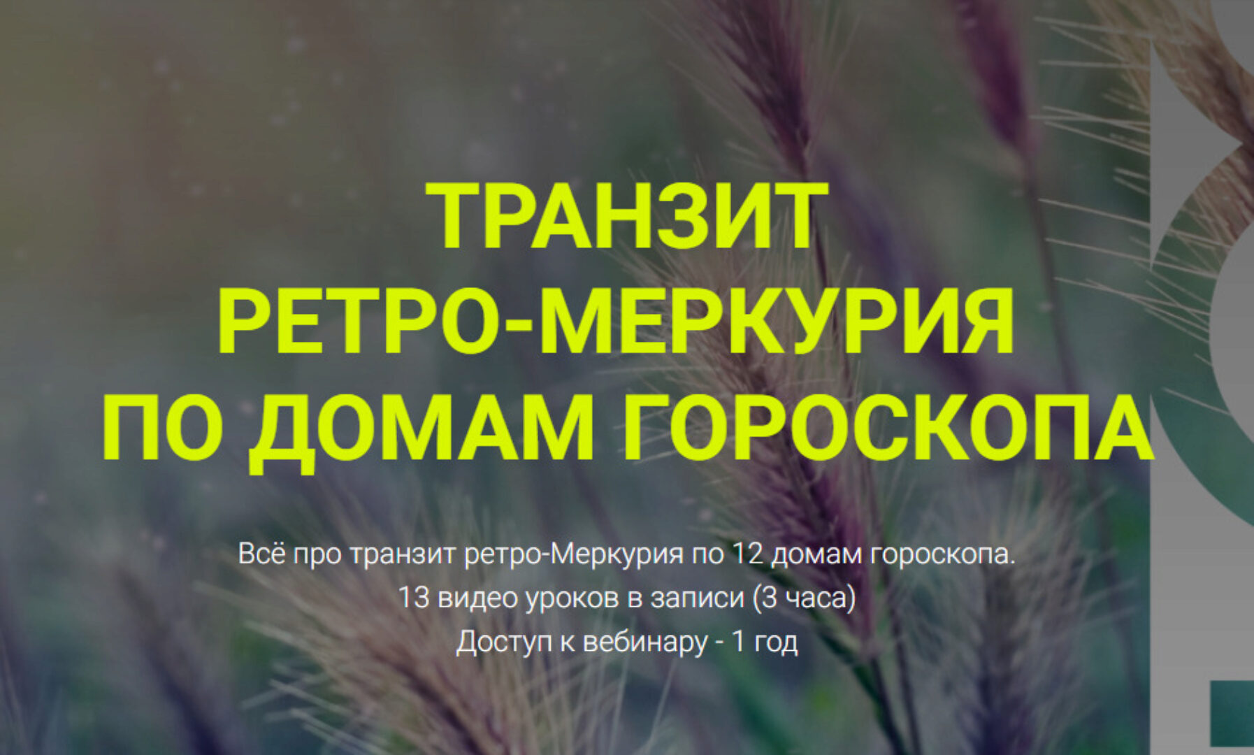 Транзит Ретро-Меркурия по 12 домам гороскопа (Евгений Волоконцев)