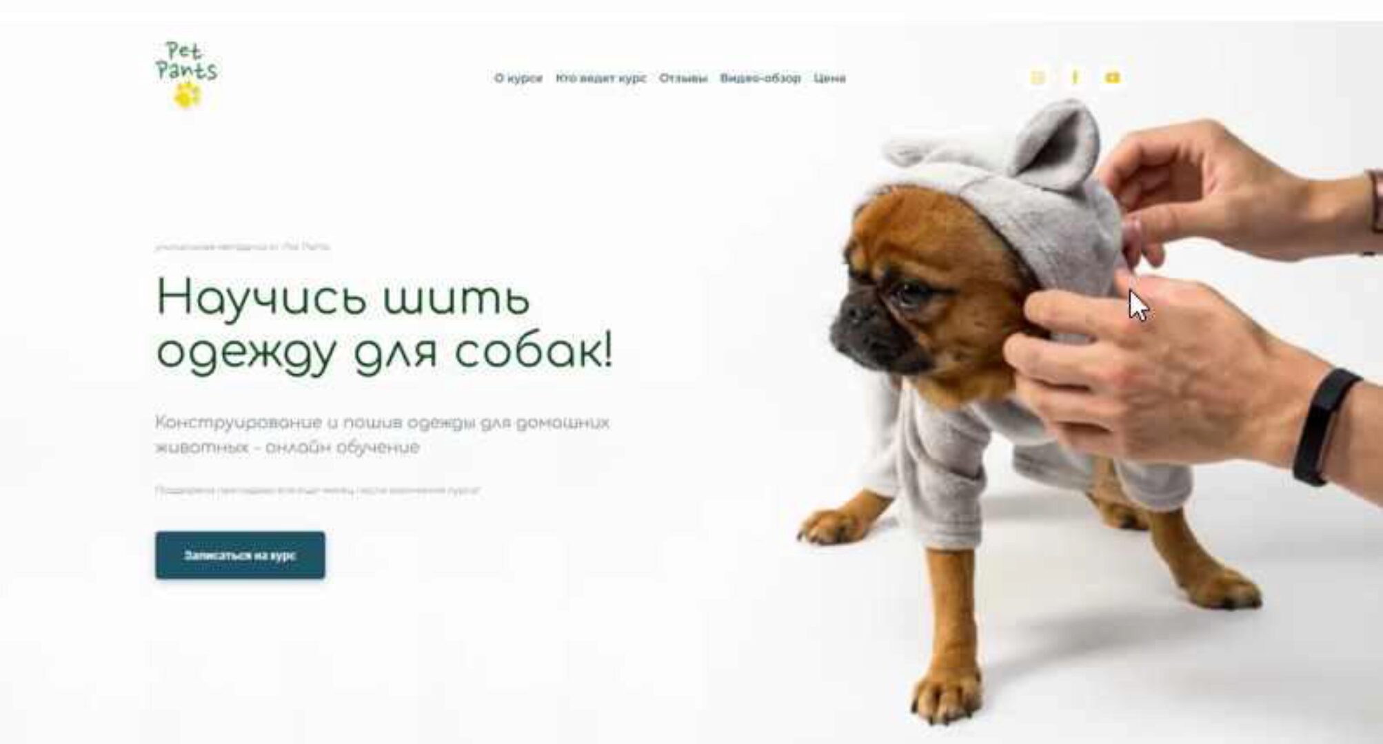 Конструирование и пошив одежды для домашних животных (Антонина Баранова)