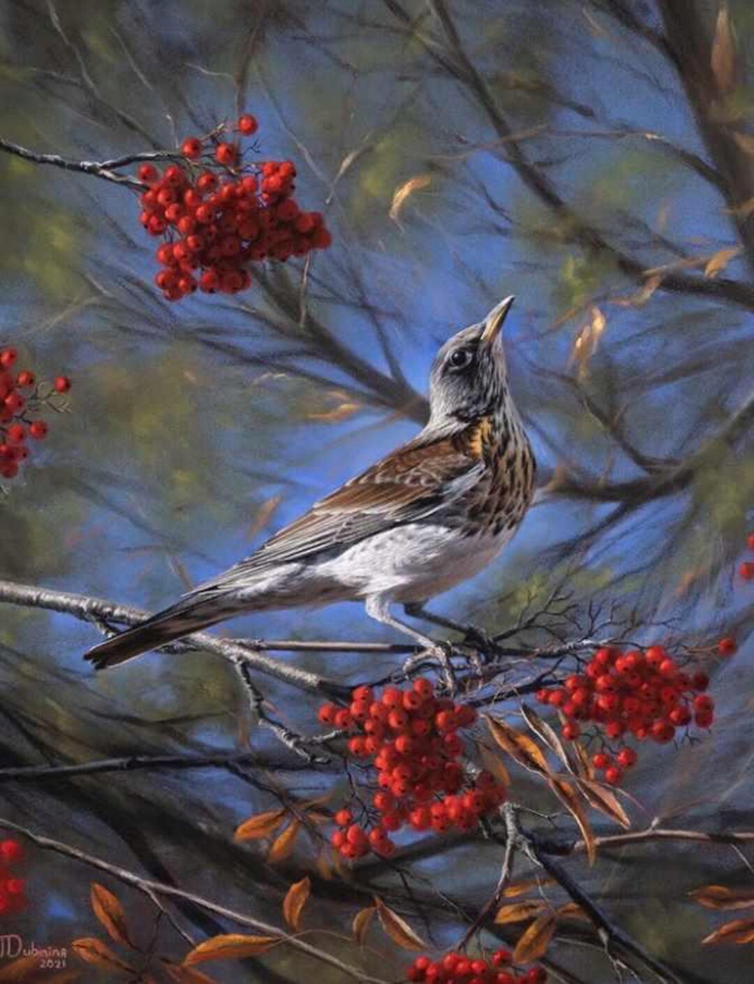 Дрозд-рябинник. Без проверки (Юлия Дубинина)