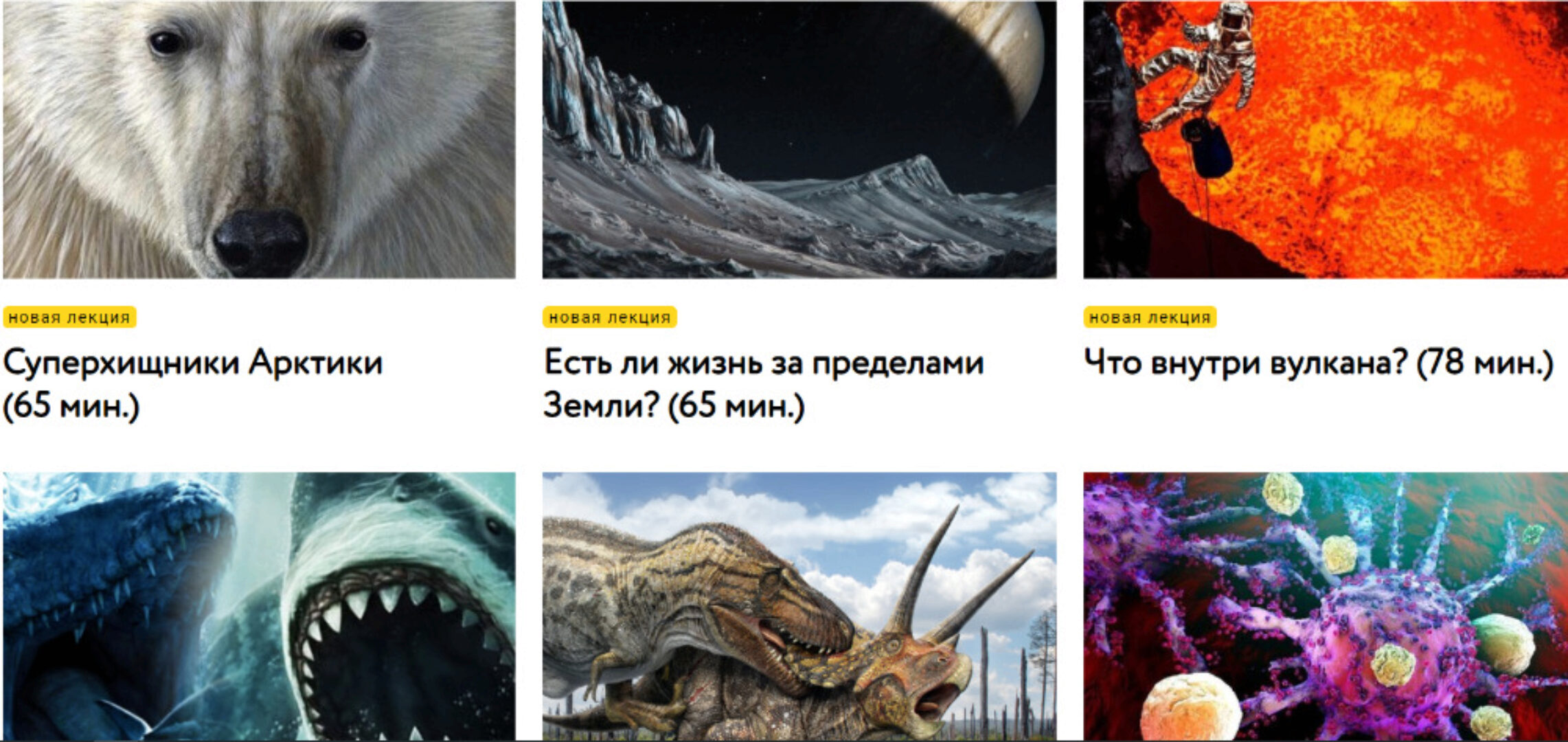 Видеолекторий. Все видеолекции 2021 (Александр Толмачёв)