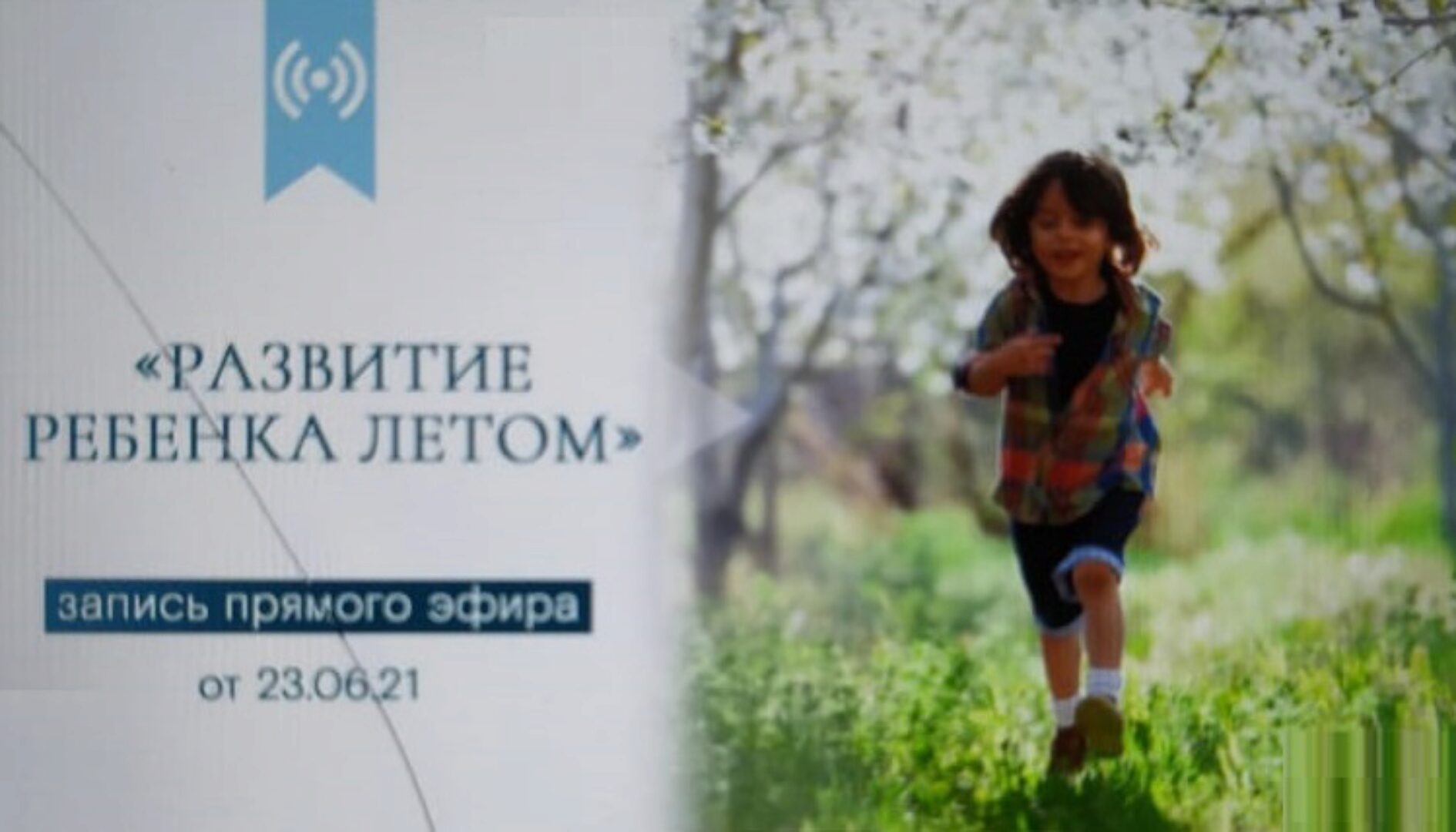 Развитие ребенка летом (Валентина Паевская)