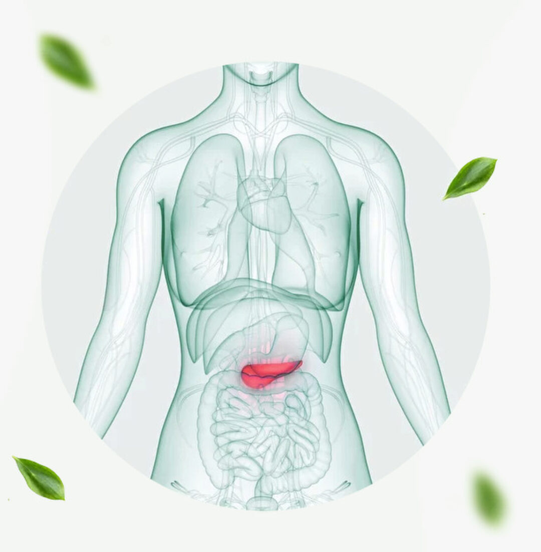 Здоровье поджелудочной железы (Ирина Потянова)