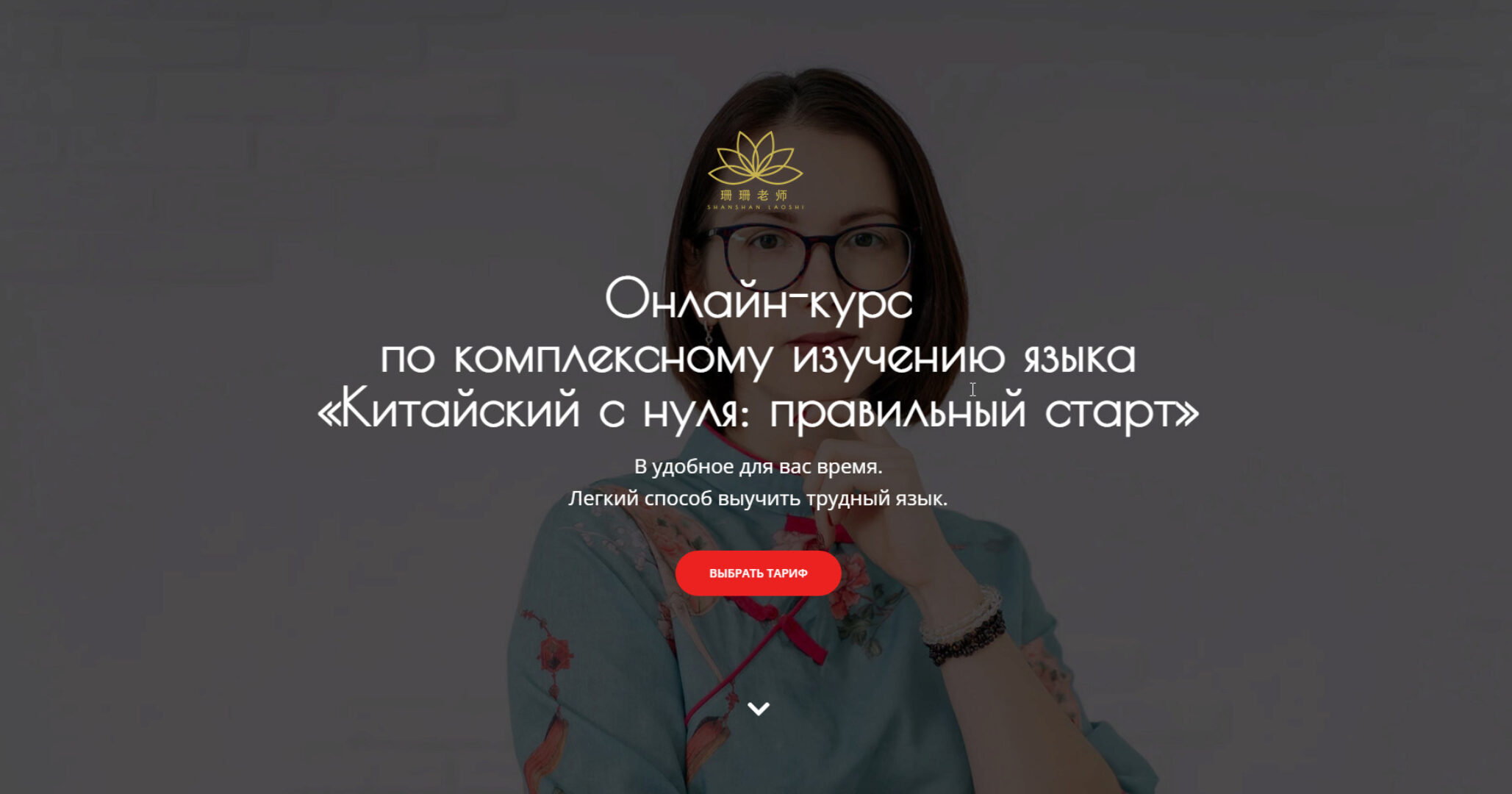 Китайский с нуля: правильный старт (Александра Василенко)