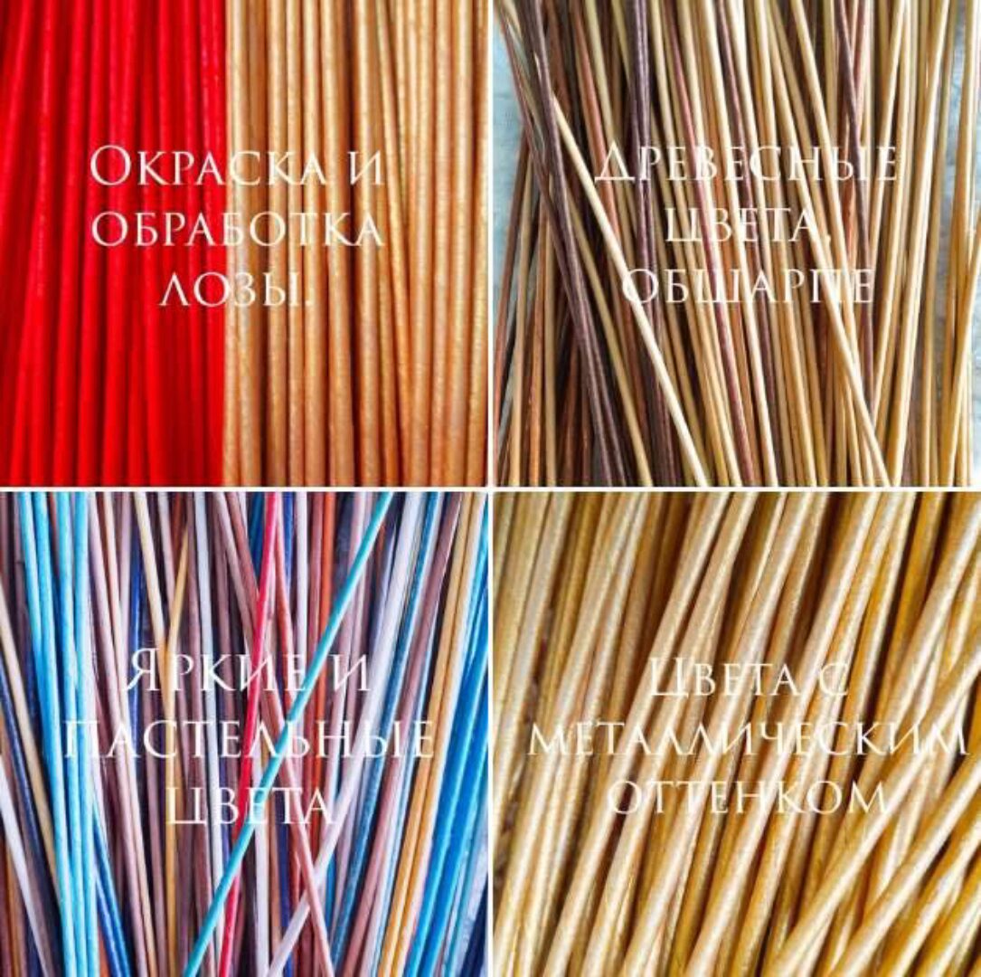 Окраска и обработка лозы (Алена Гиззатова-Маслова)