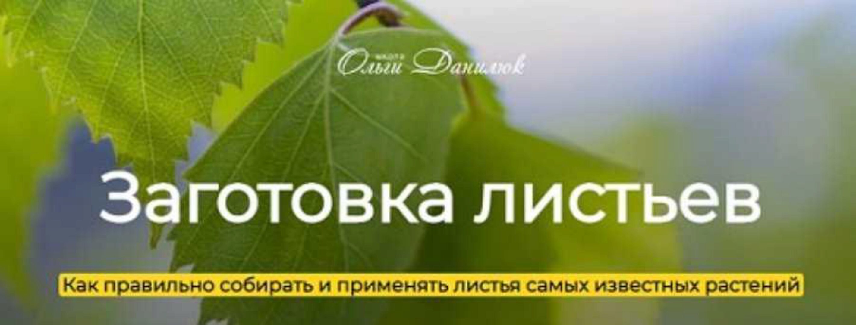 [Школа траволечения Ольги Данилюк] Заготовка листьев (Ольга Данилюк)