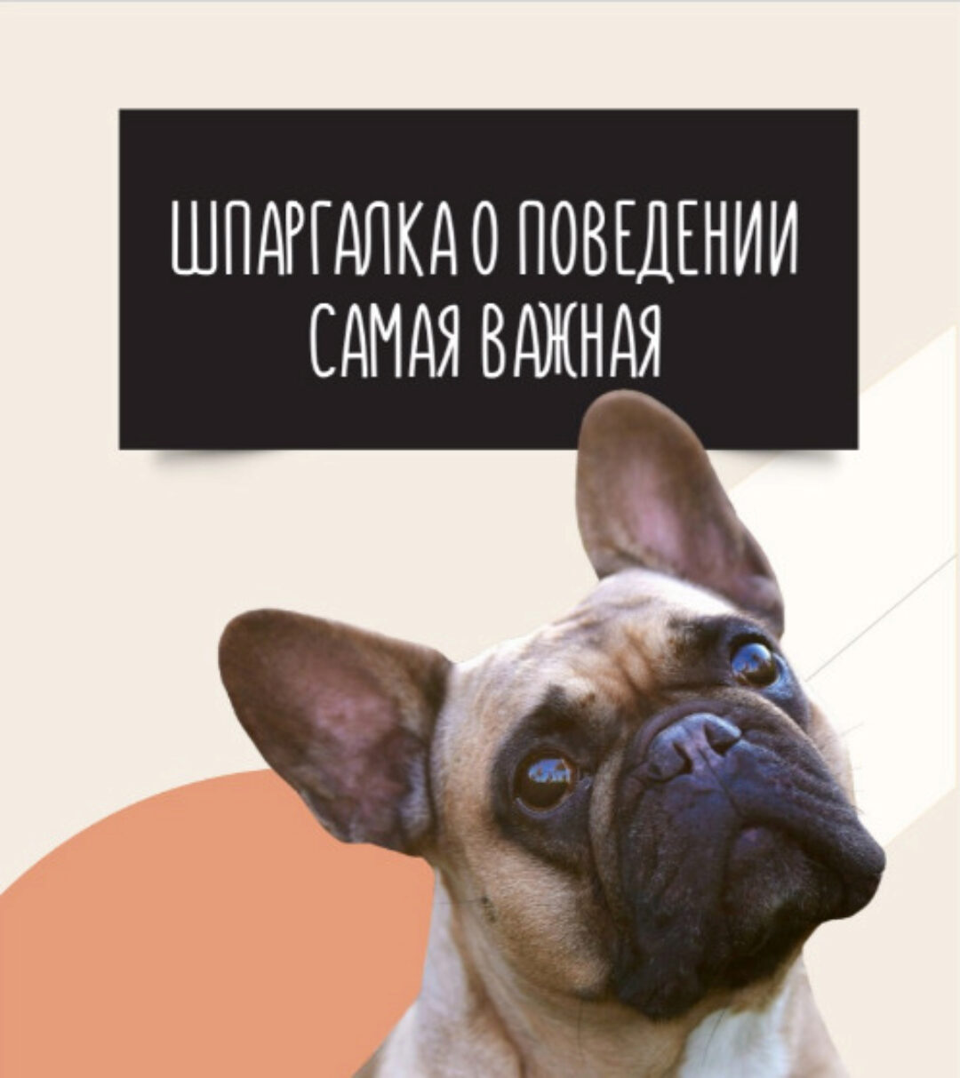 Шпаргалка о поведении (Ольга Сысоева)