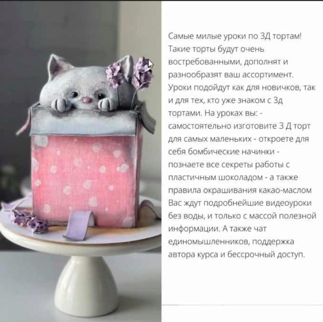 [pro.moi.tort] Торт Котенок в коробке из курса по детским 3D-тортам «Игрушки» (Анастасия Казарьянц)