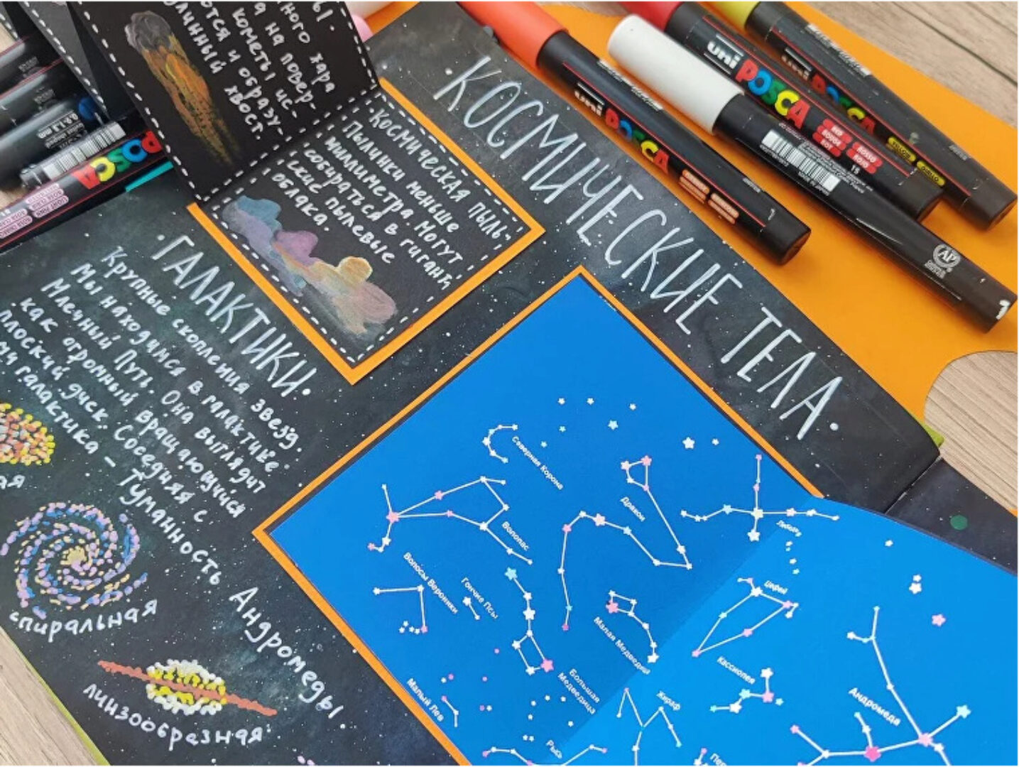 [hurlyburlyschool] 14 блок годового курса Окружающий мир (Оля Сафонова, Даша Сафонова)