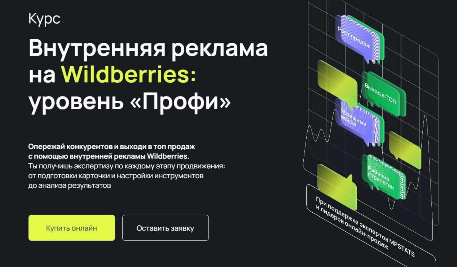 Внутренняя реклама на Wildberries: уровень «Профи». Тариф C куратором (Виктория Мурашкина, Антон Ланцов, Павел Михайлов)