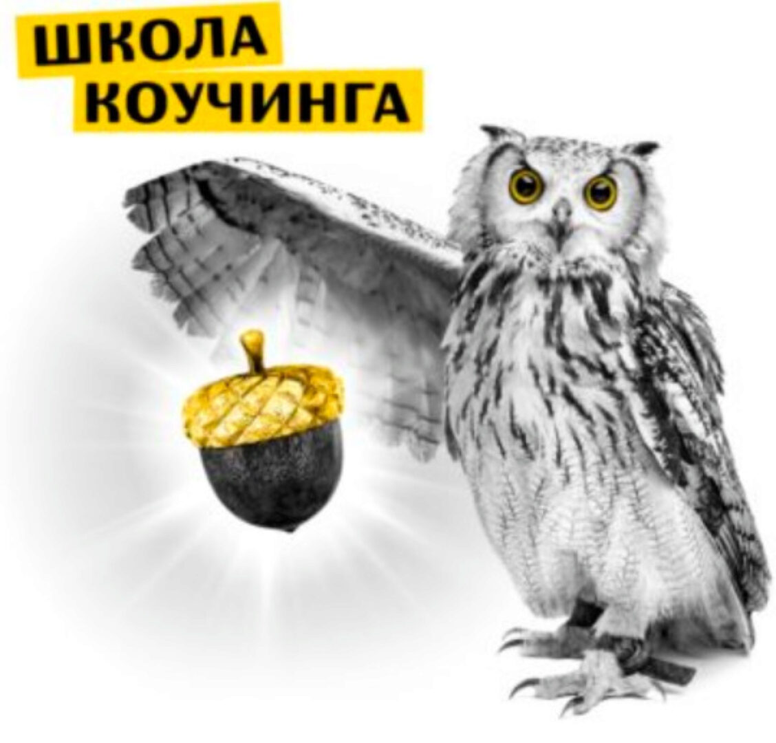 [Inner Insight] Школа Коучинга - 3 поток (Владимир Баранов)