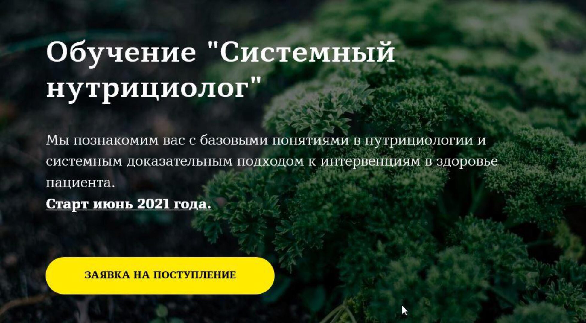 Системный нутрициолог. Базовый модуль 1 (Юлия Юсипова)