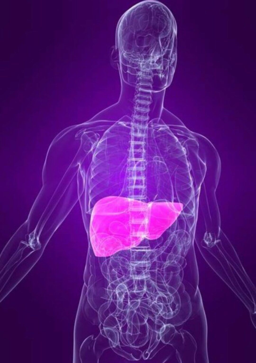 [Первая Школа Биохакинга] Моя прекрасная печень + Синдром Жильбера (Ирина Баранова)