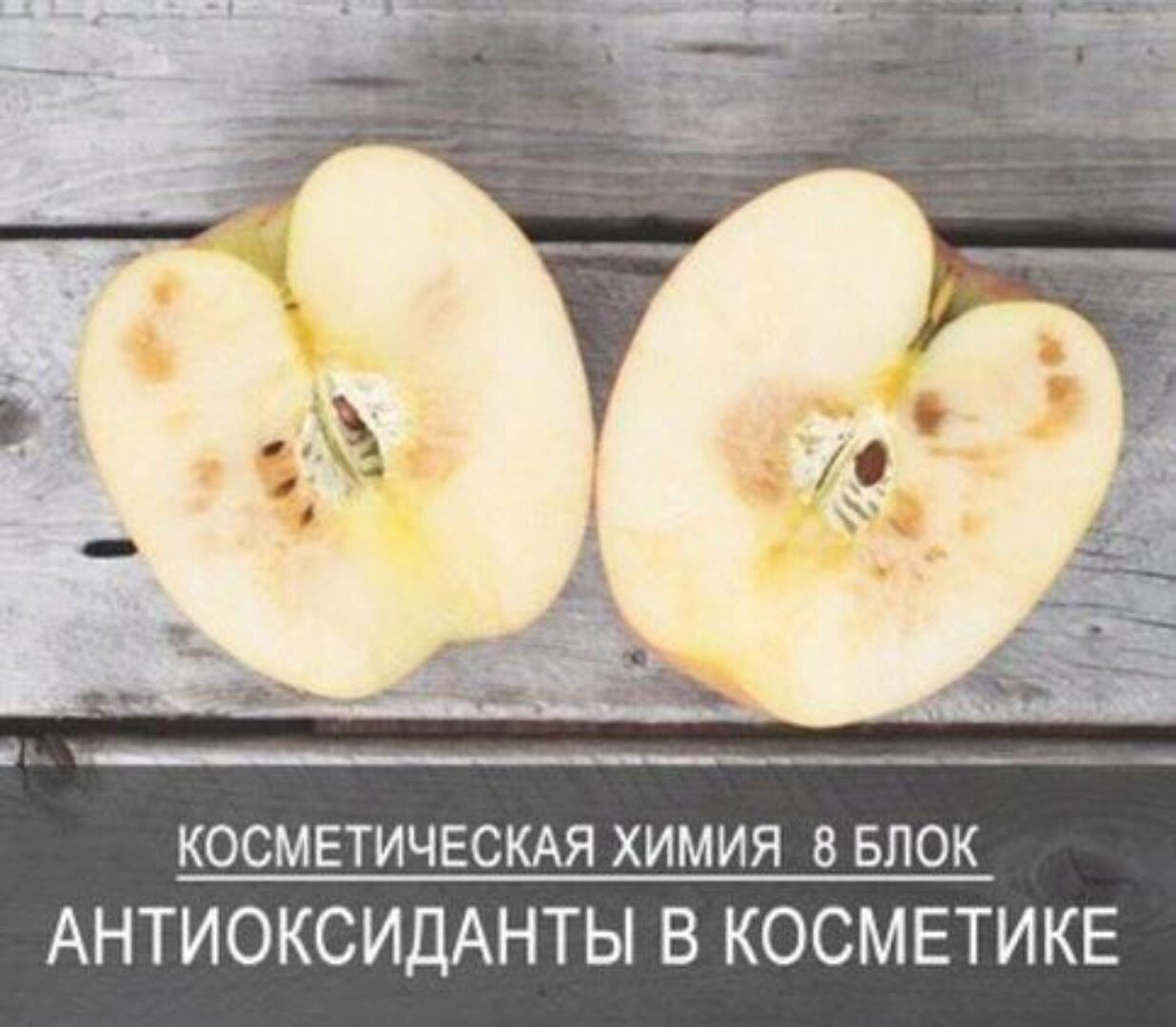 [7koschool] Косметическая химия. Блок 8 «Антиоксиданты в косметике» (Анастасия Семко)