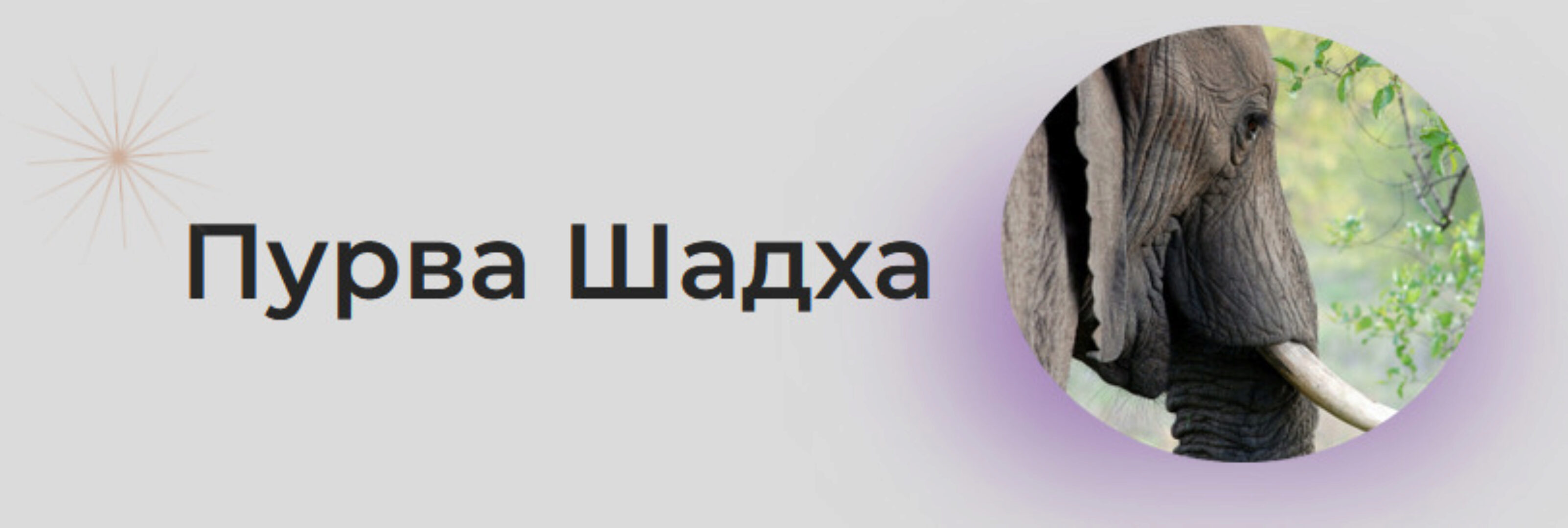 [Astrogreen] Накшатра Пурва Шадха (Анна Воробьева)