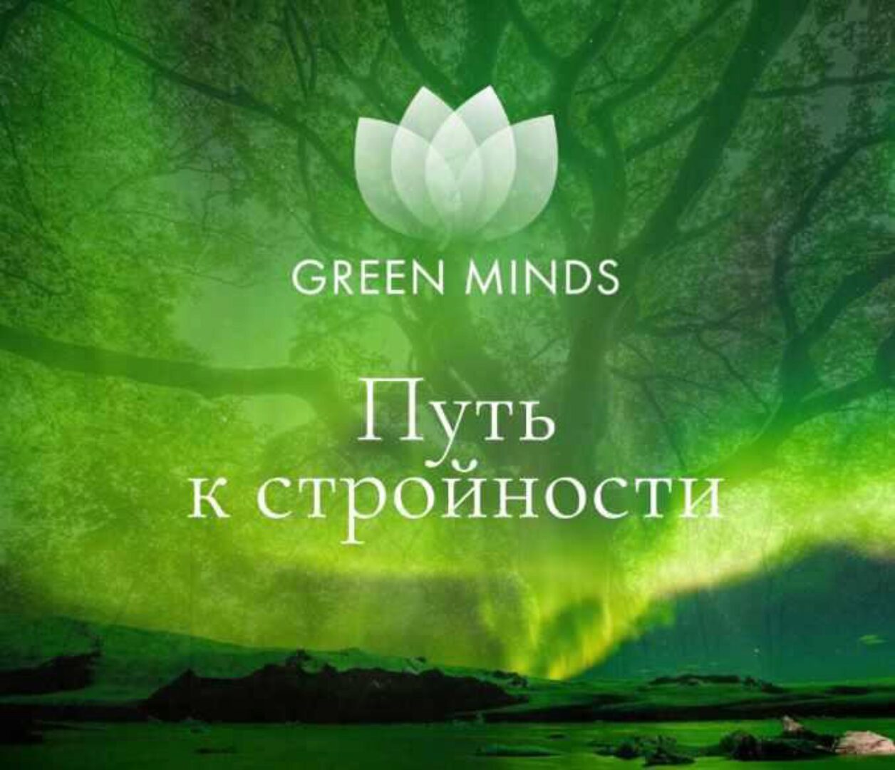 Нейромедитация Green Minds Путь к стройности (Алексей Ситников)