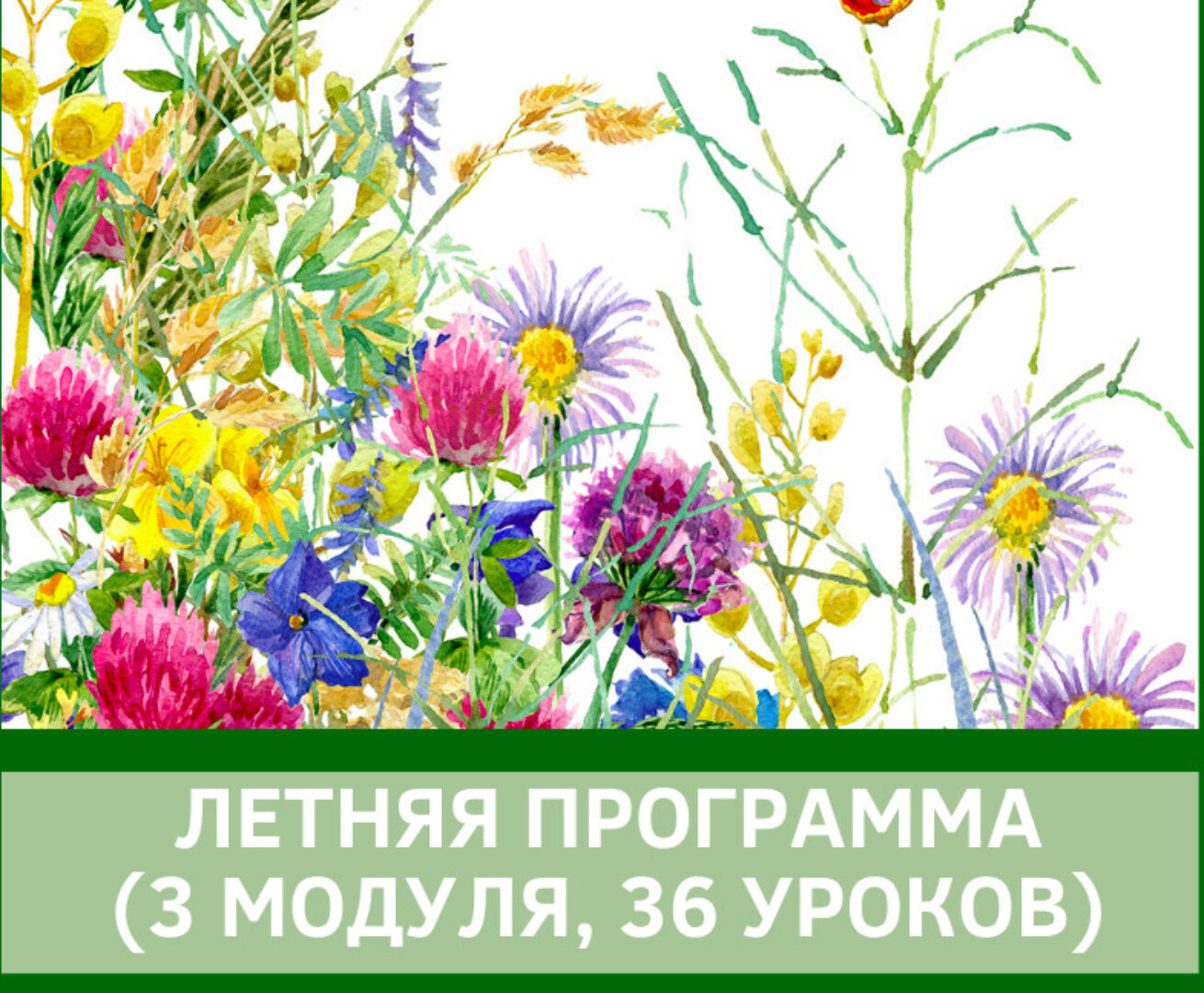 [English4mybaby] Летняя программа 2020 (Надежда Корн)