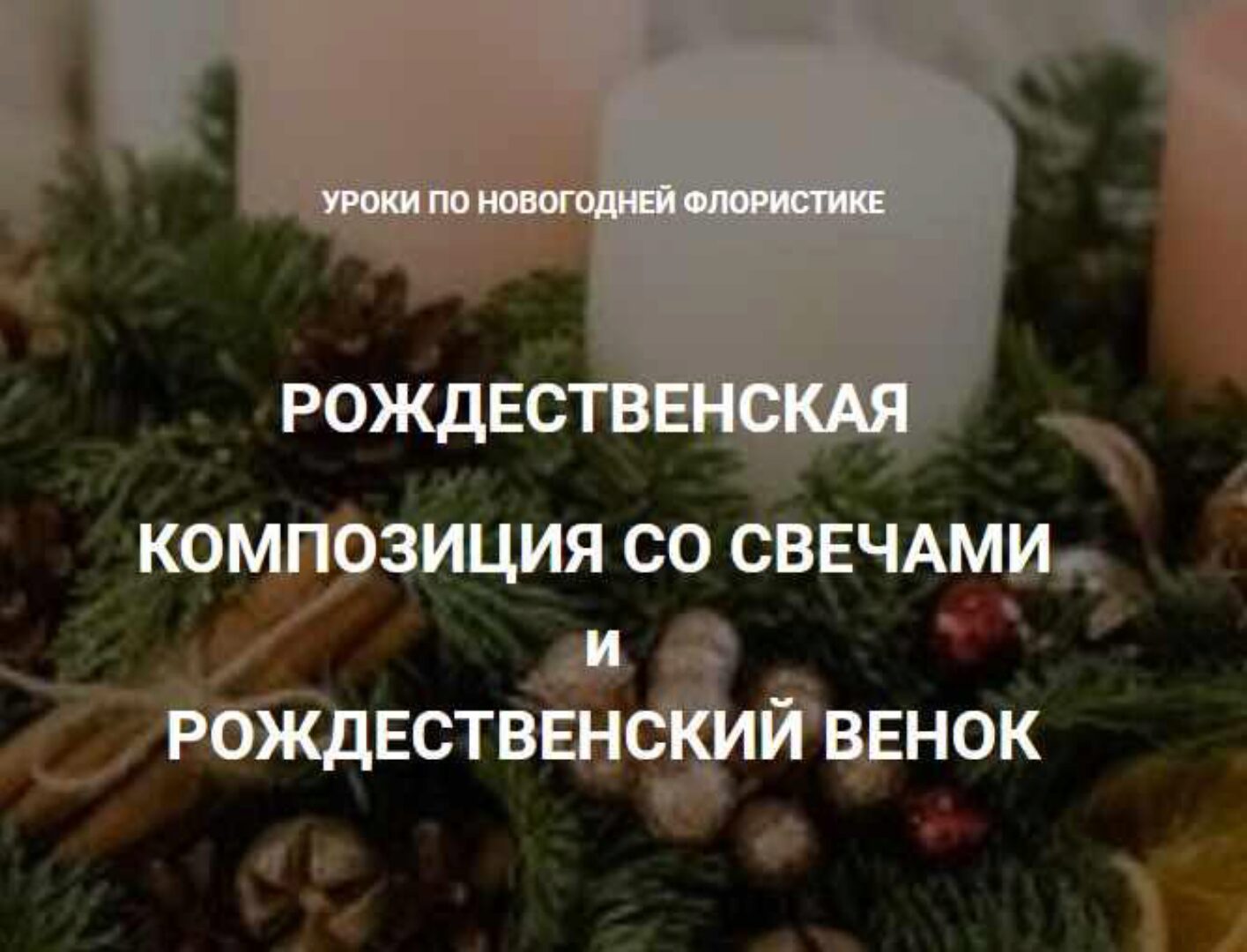 Уроки по новогодней флористике (Елена Попова)