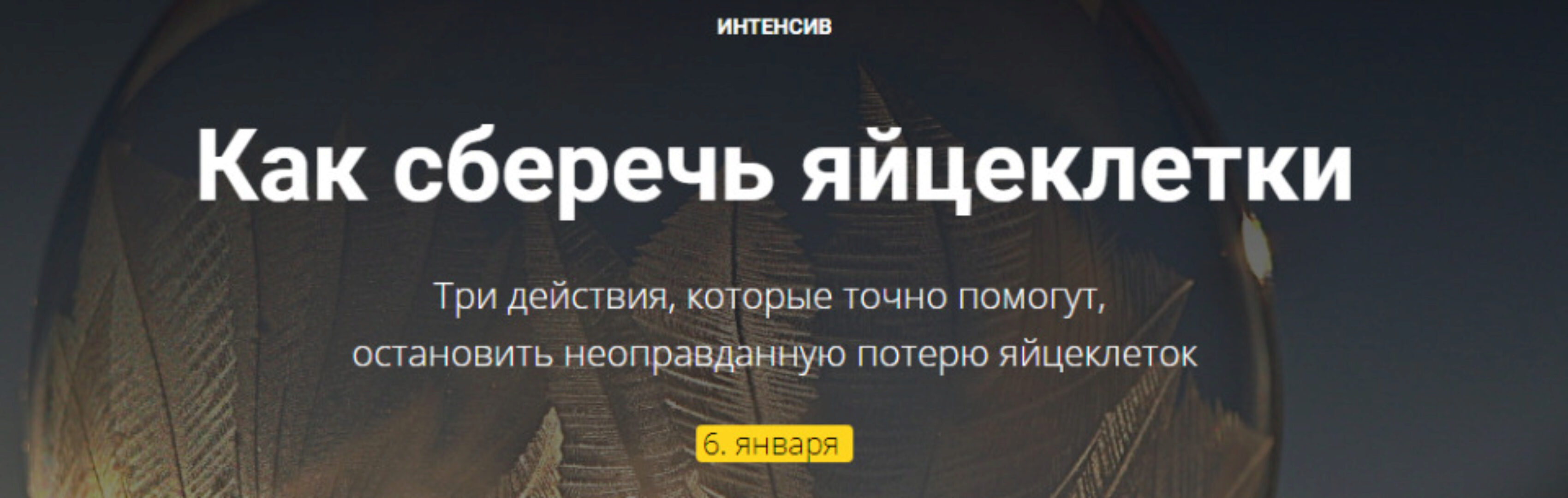 Как сберечь яйцеклетки (Наталья Петрухина, Елена Леонтьева)