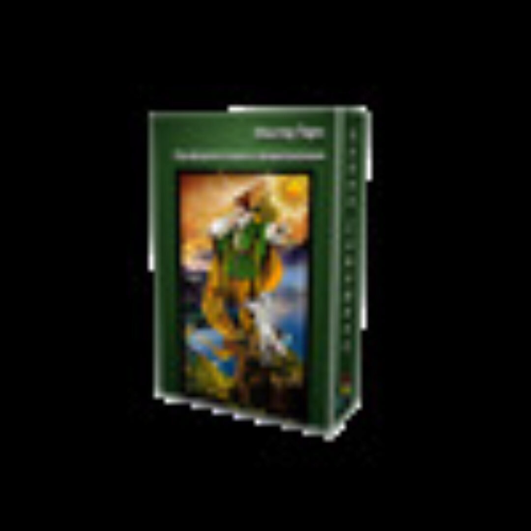 Мастер Таро. Профориентация и предназначение (Алена Самошина)