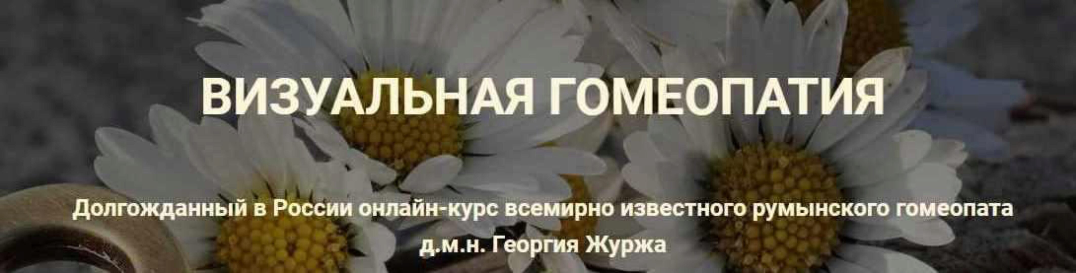 Визуальная гомеопатия. Тариф «9 занятие» (Георгий Журж)