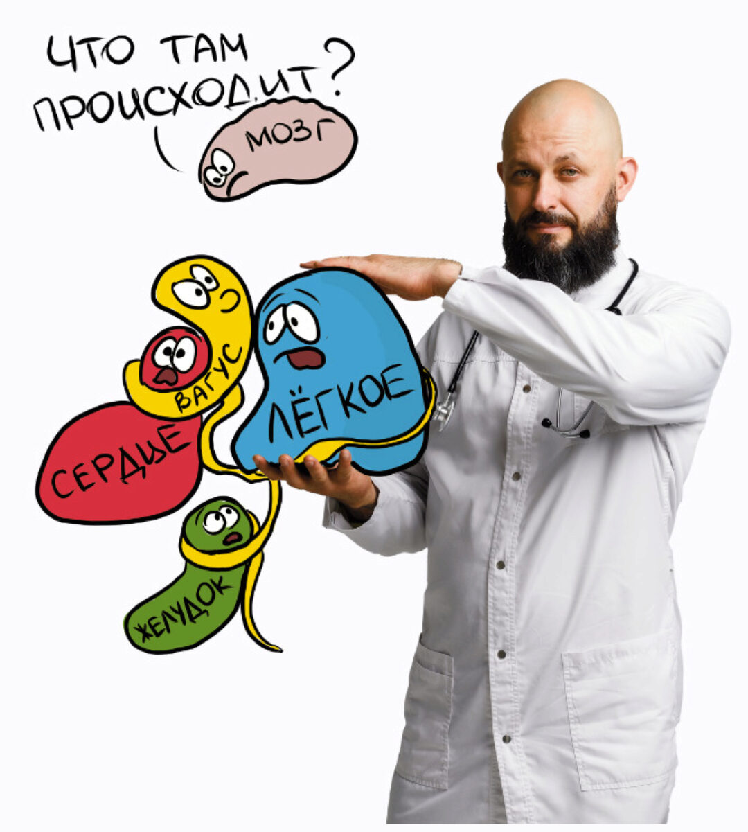 4 шага к нормализации блуждающего нерва (Алексей Маматов)