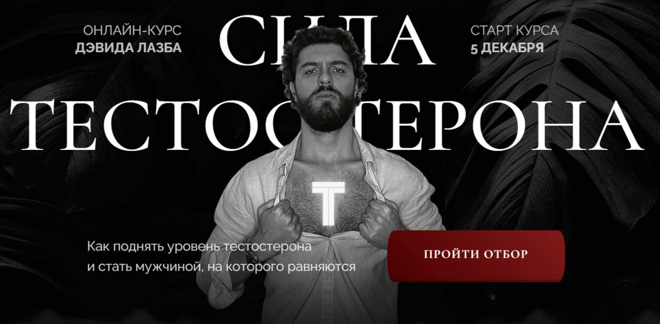 Сила тестостерона. Тариф Гладиатор (Дэвид Лазба)