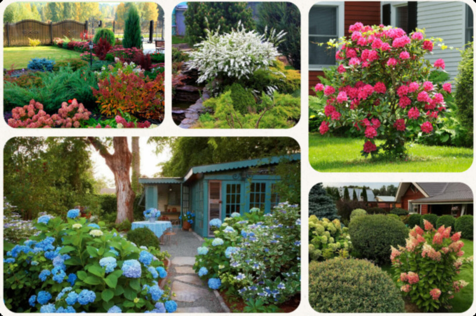 [Умный садовник] Сад непрерывного цветения (Ольга Никитина)